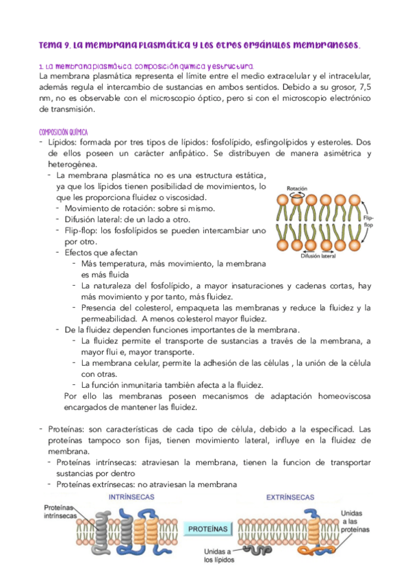 Miniatura del documento TEMA-9.pdf