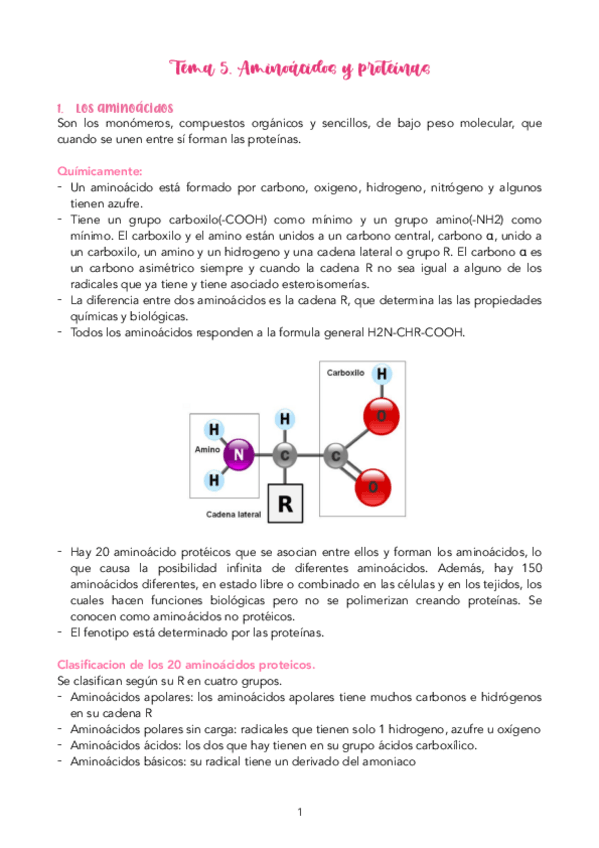Miniatura del documento Tema-5.pdf