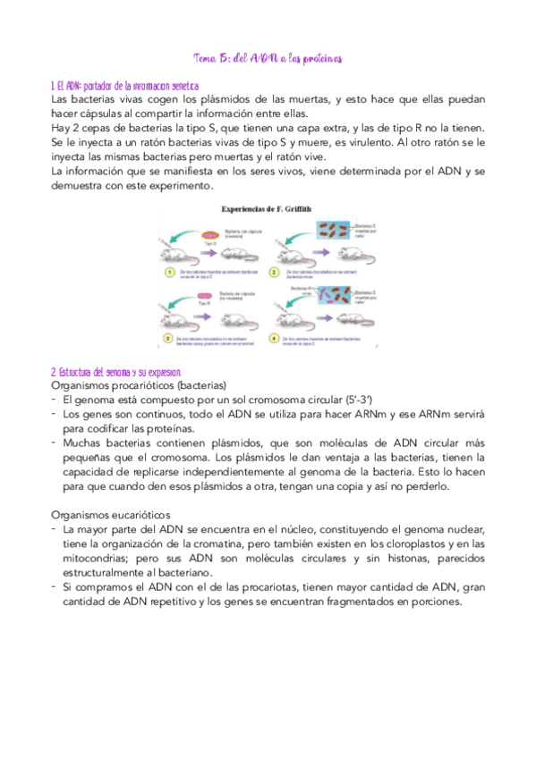 Miniatura del documento Tema-15.pdf