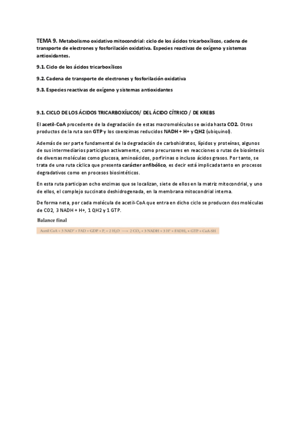 Miniatura del documento Tema-9.1.-Ciclo-de-KREBS.pdf