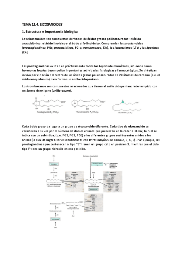 Miniatura del documento TEMA-14.-EICOSANOIDES.pdf