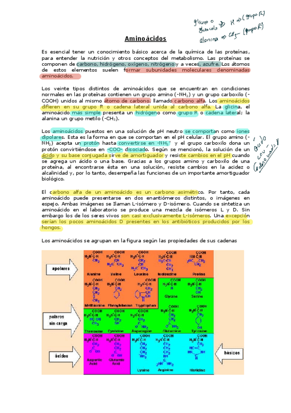 Miniatura del documento Quimica-de-las-proteinas.pdf