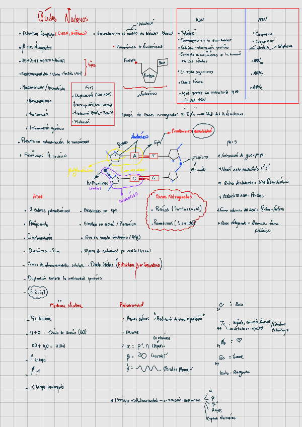 Miniatura del documento ACIDOS-NUCLEICOS.pdf