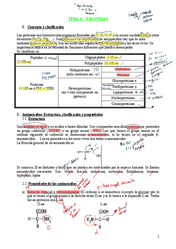 Miniatura del documento PROTEINAS.pdf