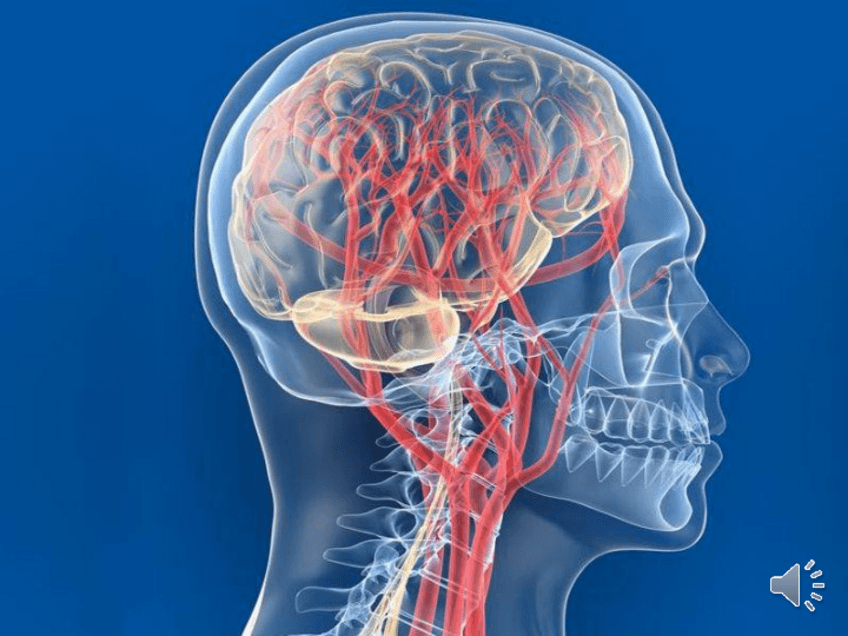 Miniatura del documento CIRCULACION-CEREBRAL.pdf