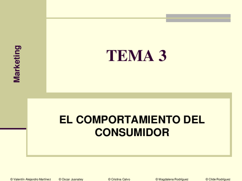 Miniatura del documento TEMA 3 Comportamiento del consumidor.pdf