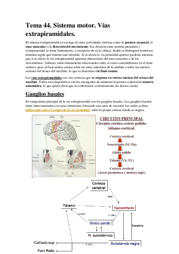 Miniatura del documento Tema 44. Sistema motor. Vías extrapiramidales..pdf