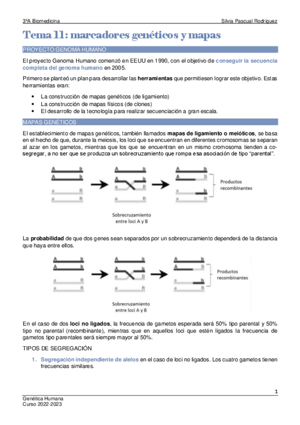 Miniatura del documento Tema-11-Genetica.pdf