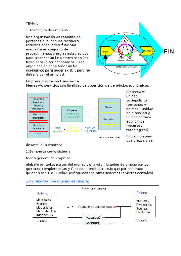 Miniatura del documento TEMA-1-euro.docx