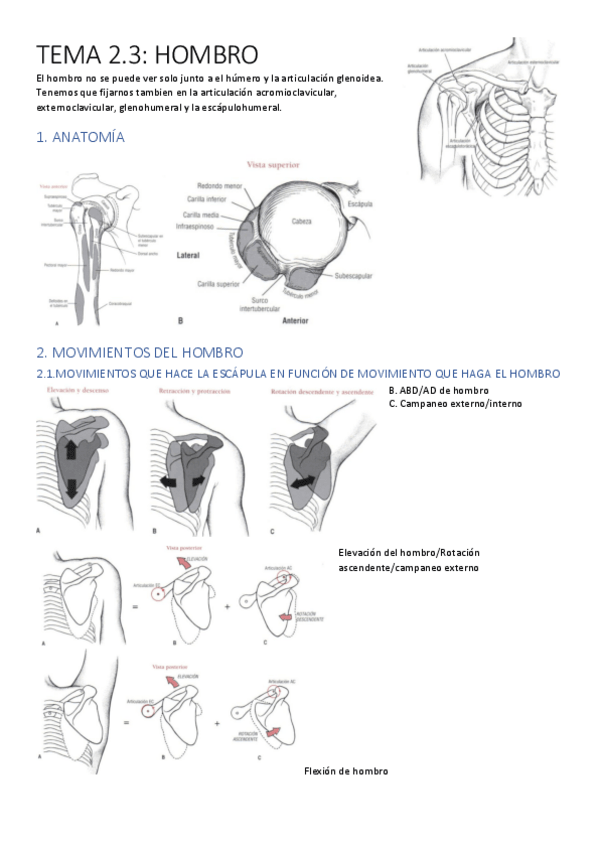 Miniatura del documento TEMA-2.3.-ASM.pdf