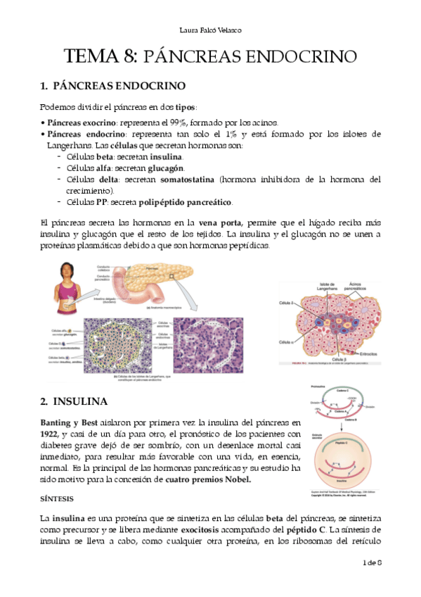 Miniatura del documento T.8-Pancreas-endocrino.-PDF.pdf