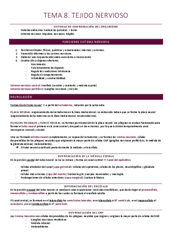 Miniatura del documento Tejido nervioso