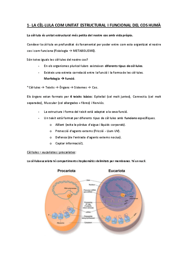 Miniatura del documento BIO-tema-1-16.pdf