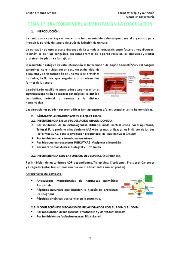 Miniatura del documento TEMA-17.-TRASTORNOS-DE-LA-HEMOSTASIA-Y-LA-COAGULACION.pdf