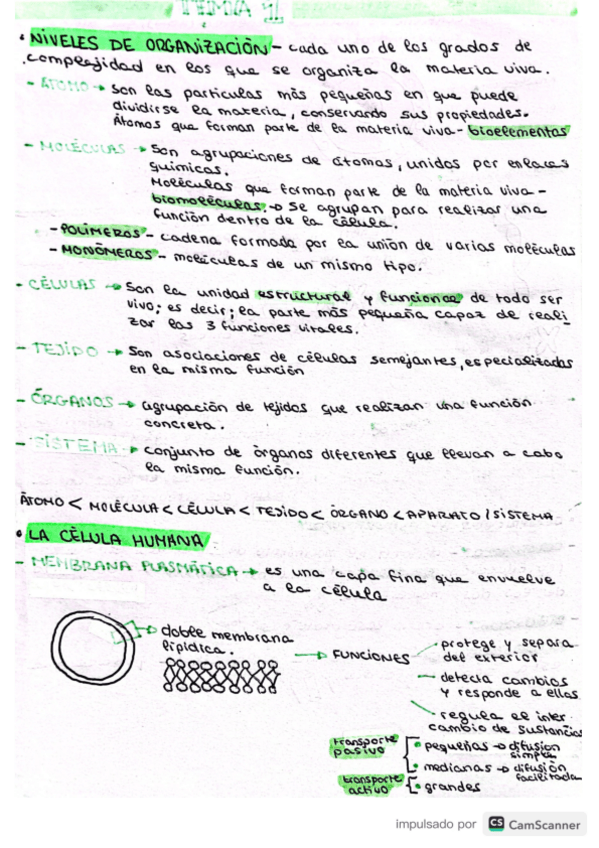 Miniatura del documento celulas.pdf