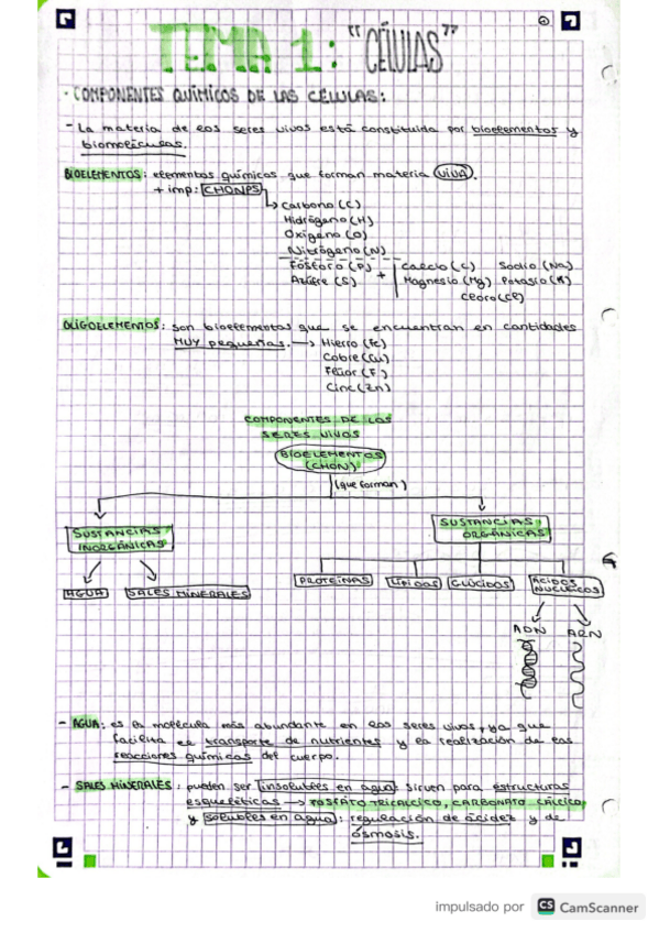 Miniatura del documento Celulas-organulos.pdf