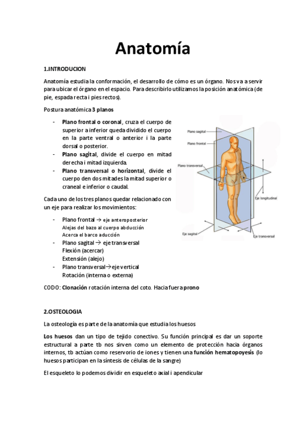 Miniatura del documento Anatomia-I.pdf