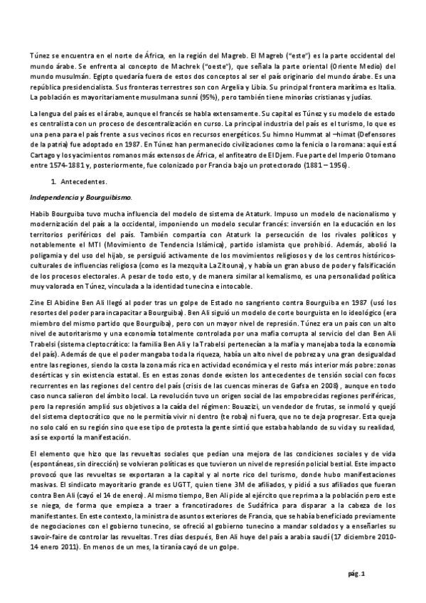 Miniatura del documento Tunez.pdf