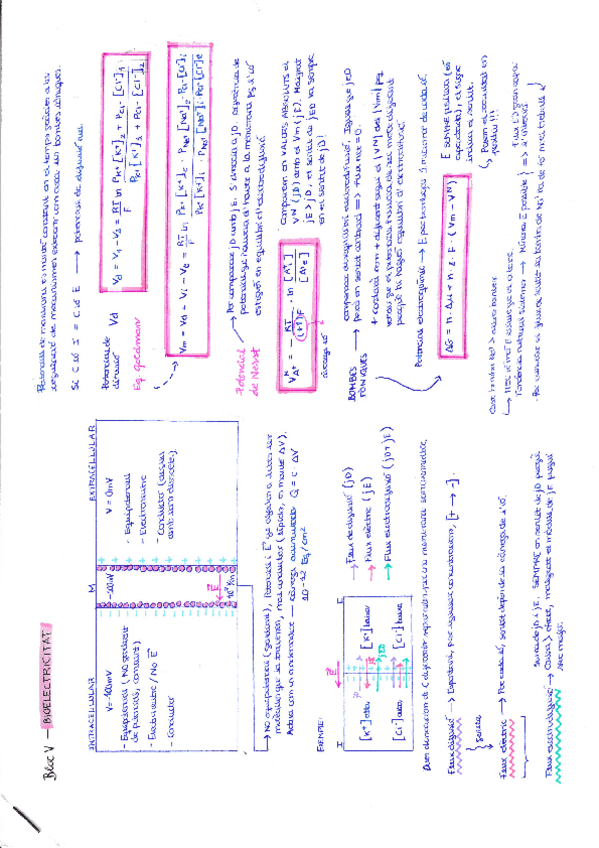 Miniatura del documento BlocV-Bioelectricitat.pdf