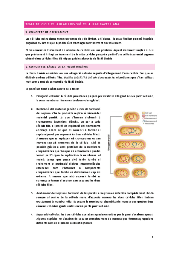 Miniatura del documento Microbiologia-2on-parcial.pdf
