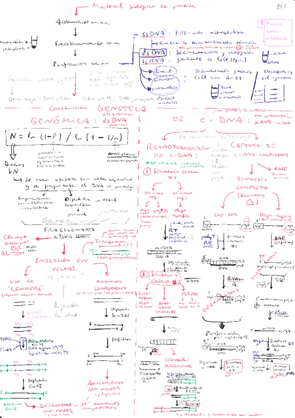 Miniatura del documento IntegracionIngGen2122PBiotech.pdf