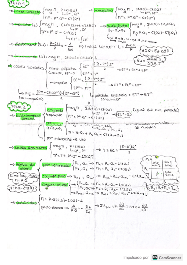 Miniatura del documento MICROECONOMIA-2o-CURSO-esquema.pdf