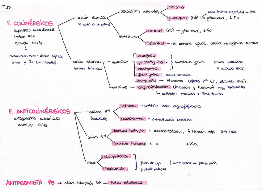 Miniatura del documento Esquema-T13.pdf