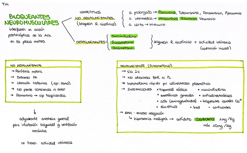 Miniatura del documento Esquema-T14.pdf