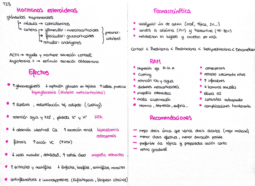 Miniatura del documento Esquema-T23.pdf