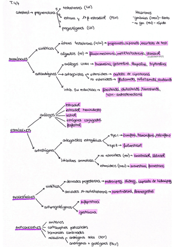 Miniatura del documento Esquema-T47.pdf