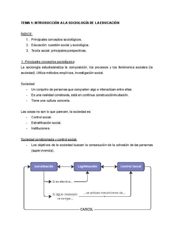Miniatura del documento TEMA-1-Sociologia-de-la-educacion-1.pdf