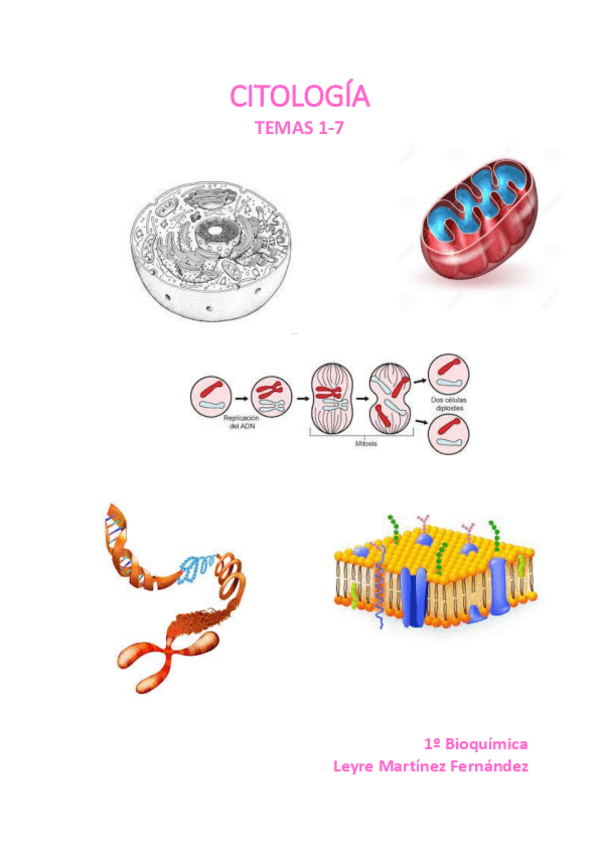 Miniatura del documento APUNTES-CITOLOGIA.pdf