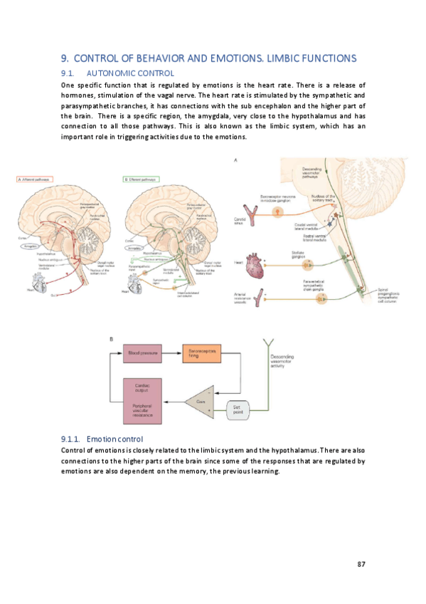 Miniatura del documento TEMA9.pdf