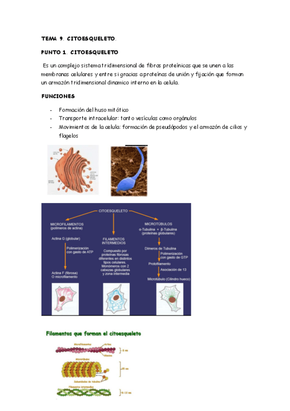 Miniatura del documento TEMA-9.pdf
