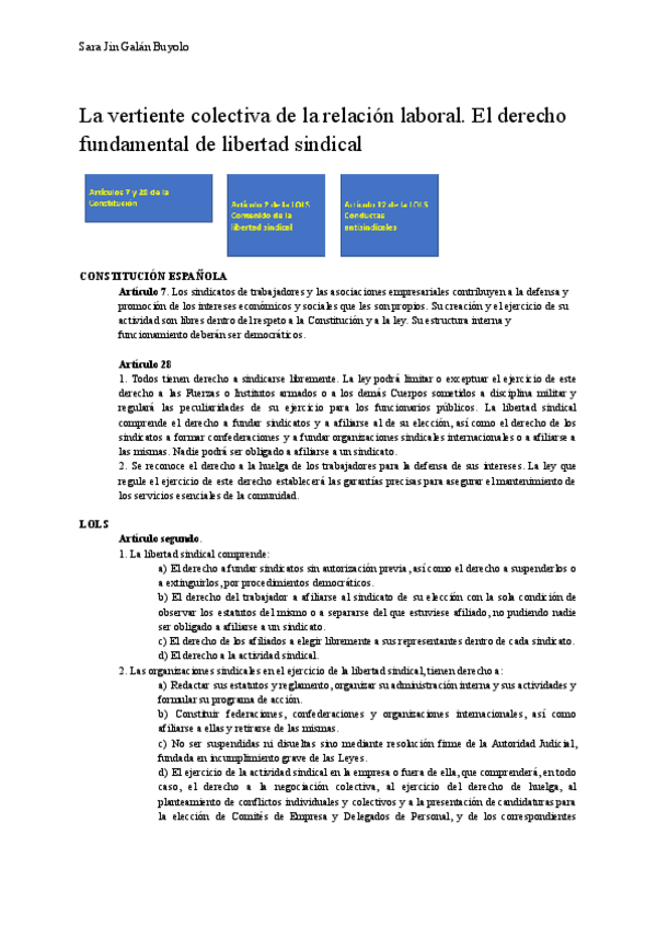 Miniatura del documento 8.-La-vertiente-colectiva-de-la-relacion-laboral.pdf
