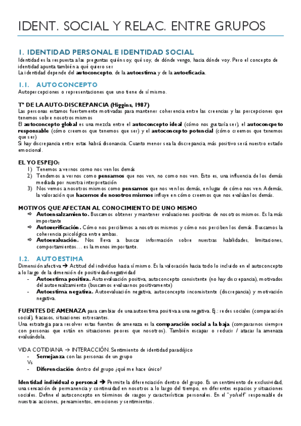 Miniatura del documento T5-Social-II-Identidad-social-y-relaciones-entre-grupos.pdf