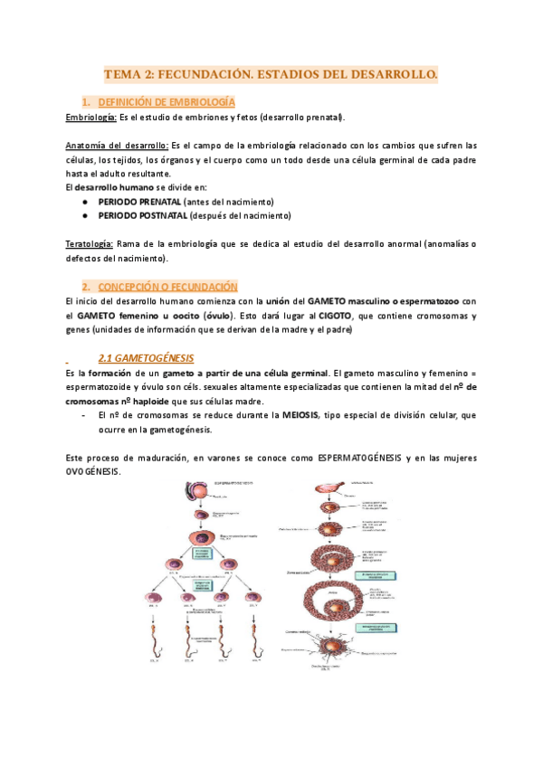 Miniatura del documento TEMA-2-FECUNDACION.pdf