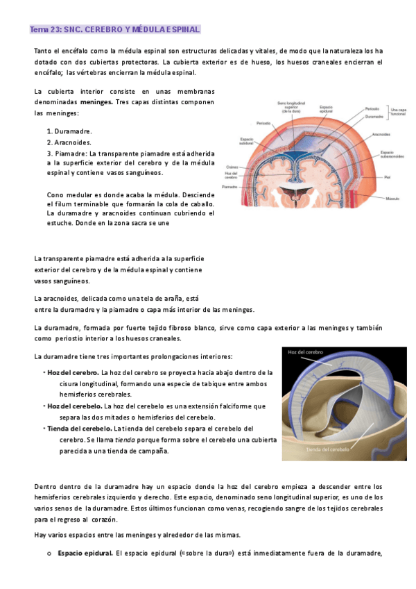 Miniatura del documento TEMA-22.-SNC.pdf