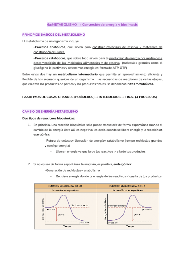 Miniatura del documento 6aMETABOLISMO-Conversion-de-energia-y-biosintesis.pdf