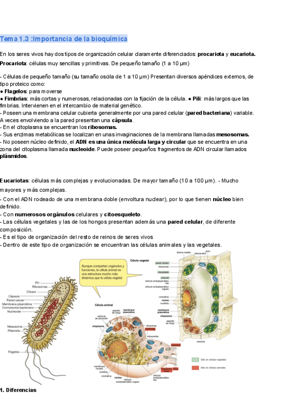 Miniatura del documento Tema-1.3-bIOquimica-copia.pdf