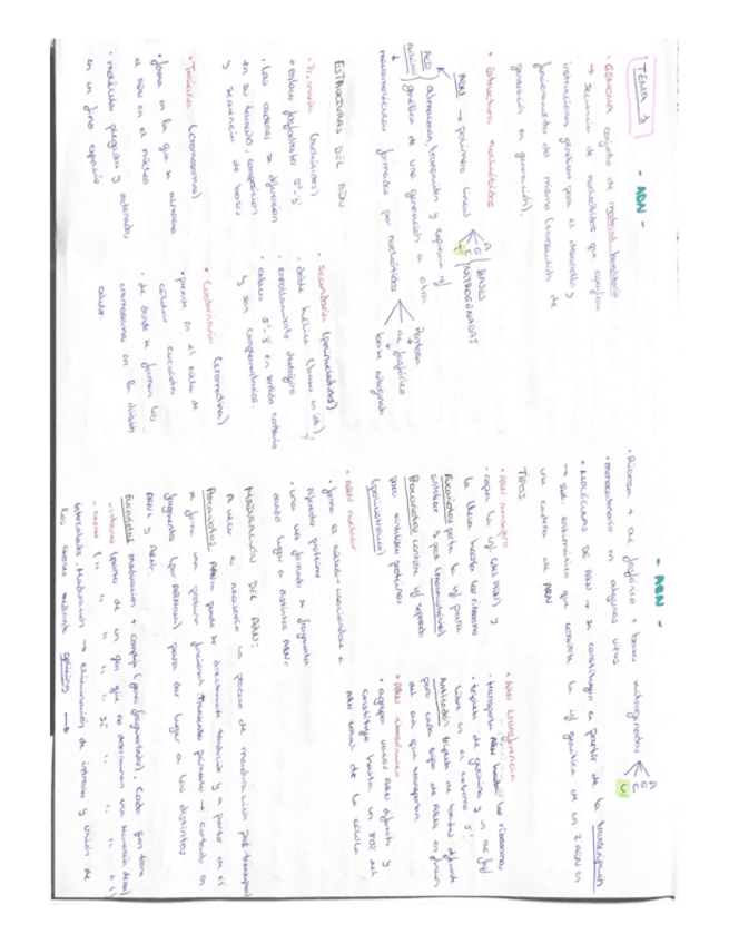 Miniatura del documento Resumen-t1-bc.pdf