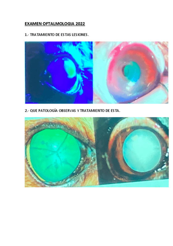 Miniatura del documento EXAMEN-OFTALMOLOGIA-2022.pdf