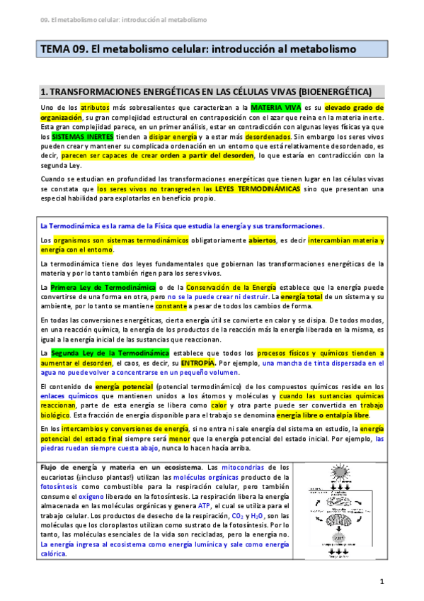 Miniatura del documento TEMA-09-Introduccion-al-metabolismo.pdf