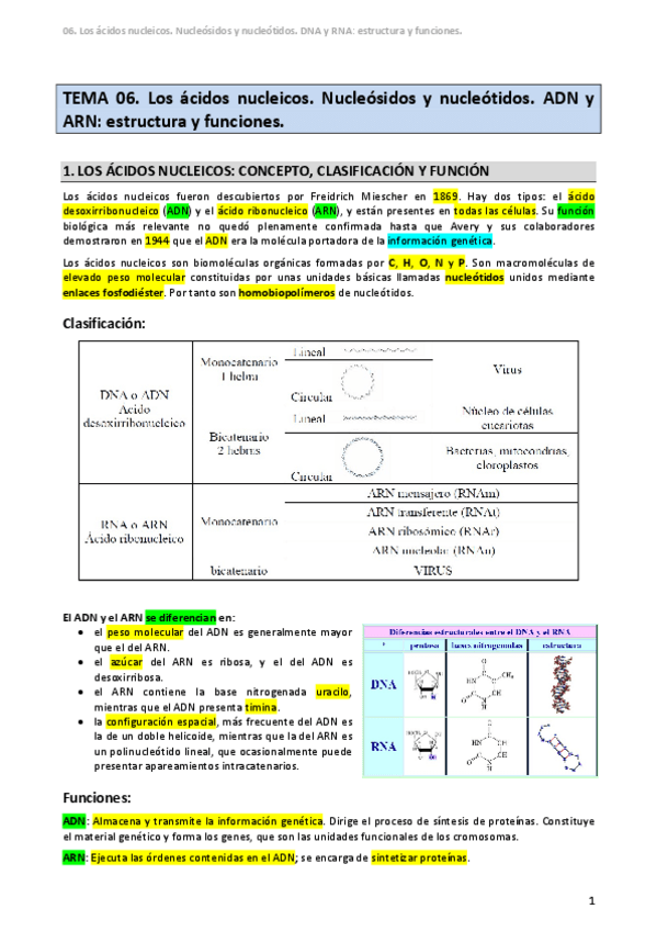 Miniatura del documento TEMA-06-Los-acidos-nucleicos.pdf