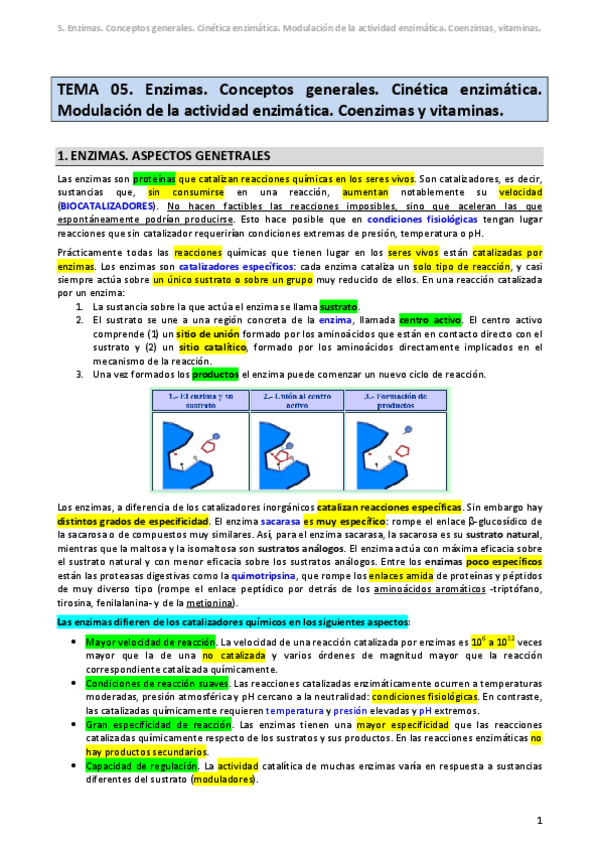 Miniatura del documento TEMA-05-Enzimas.pdf
