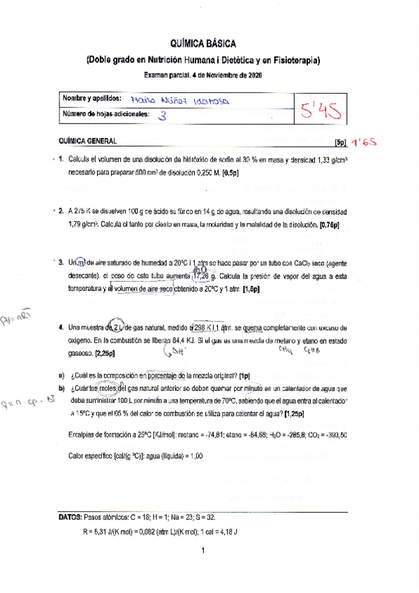 Miniatura del documento parcial-nov-2020.pdf