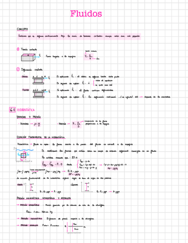 Miniatura del documento Fluidos.pdf