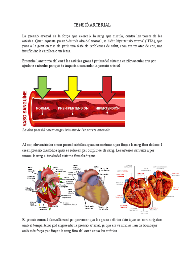 Miniatura del documento TENSIO-ARTERIAL-1.pdf
