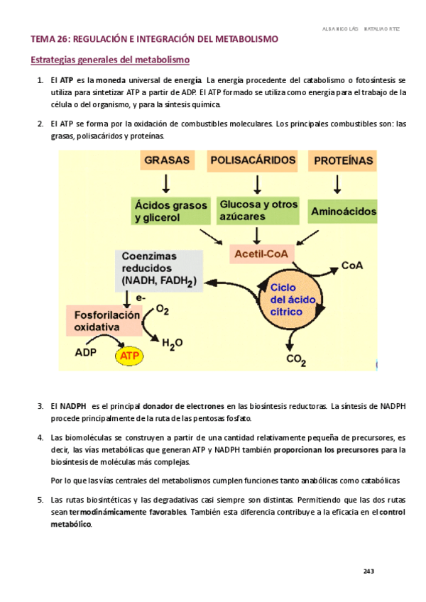 Miniatura del documento BQ-TEMA-26.pdf
