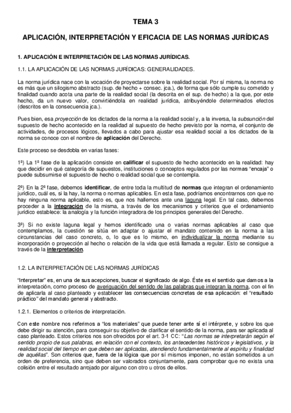 Miniatura del documento TEMA-3-APLICACION-INTERPRETACION-Y-EFICACIA-DE-LAS-NORMAS-JURIDICAS.pdf